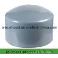 Plastic PP End Cap Fitting Mold/Tooling/Injection Mould